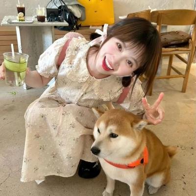 圣诞佳丽
